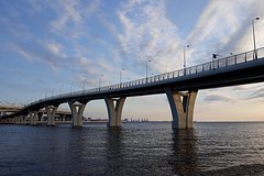 Нагая девица прыгнула с 19-метрового моста в Петербурге