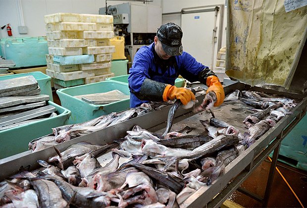 Компании «крабовых королей» России перешли в собственность государства. Предприятия оцениваются в миллиарды рублей