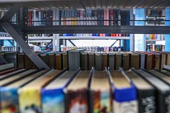 Россияне резко заинтересовались ЛГБТ-литературой