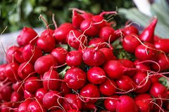Стало понятно о полезности редиса для профилактики онкологии