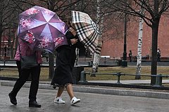 В Столице России ветер начал сносить деревья