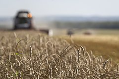 В РФ утвердили дополнительную тарифную квоту на экспорт зерновых