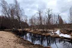 Засорение реки в русском регионе заинтриговало следователей