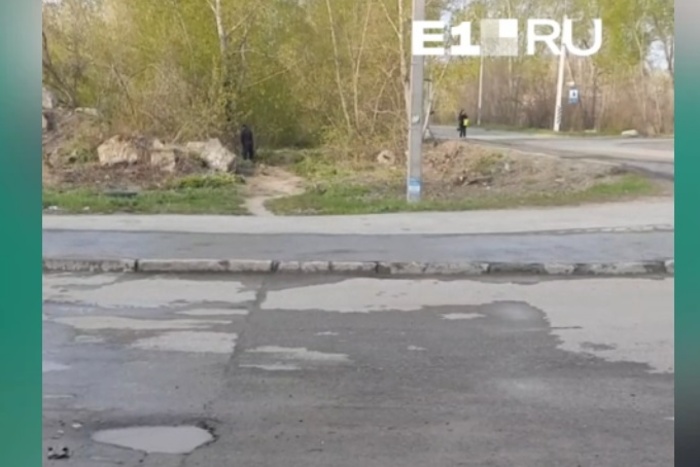 «Что видно? — Всё видно!» Екатеринбурженка поругалась с водителем, справляющим нужду в кустиках
