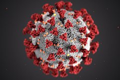 Эпидемиолог высказался об опасности нового штамма COVID-19 для жителей России