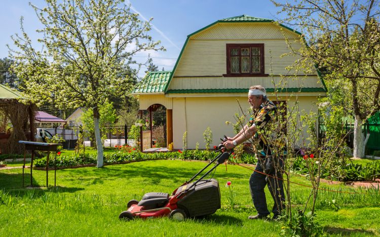 Как приобрести дачу: на что направить внимание при покупке, 9 советов