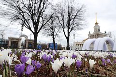 Интернациональный день климата отметили в павильоне «Роснефти» на ВДНХ