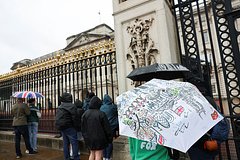 Мужик перелез через забор Букингемского дворца из-за желания сходить в сортир
