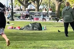 Пара занялась сексом в парке на очах у семей с детками