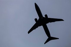 Путешественник самолета посетовал на найденную в бортовом питании личинку