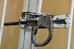 Ассистент русского депутата получил 12 лет колонии за педофилию