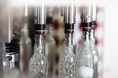Жителей России предупредили о разрушительном воздействии водки на мозг