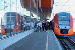 В РЖД заявили о внедрении запрета на посадку зверей из электричек