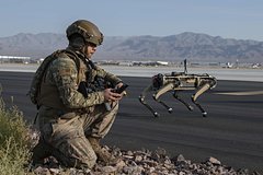 В США начали тесты вооруженных роботов-собак