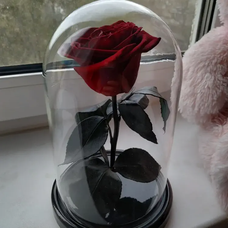 Вечная красота, розы в стеклянной колбе от The One Rose