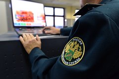 Девушка попробовала провезти в Россию изделия из бивней мамонта под юбкой