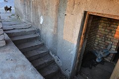 Дом в русском городке погряз в нечистотах