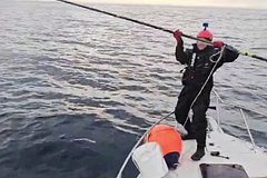 Горбатого кита выручили в Баренцевом море