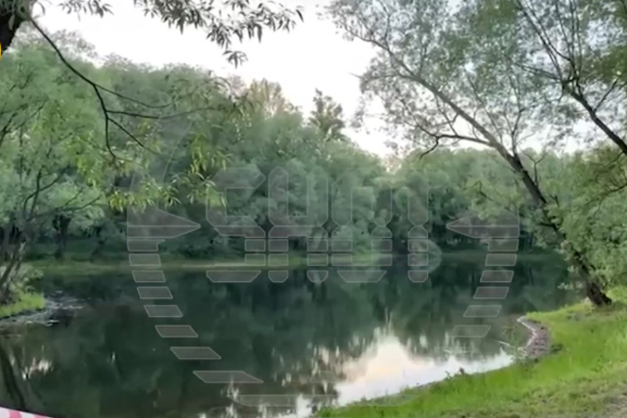 Мужчину, гулявшего в столичном парке с внучками, могли лишить жизни из-за собаки