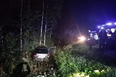 «Намотало на колесо». Сразу два лосенка попали под колеса автомобилей на Серовском тракте