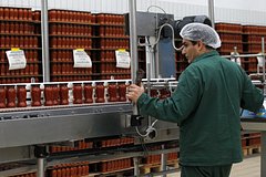 Утраты Италии от антироссийских ограничений оценили