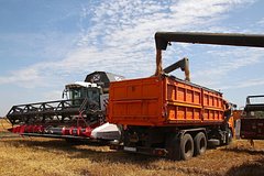 РФ в разы прирастила поставки зерна в Китай