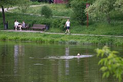 Жителей России предупредили о росте заболеваемости «малой чумой»