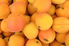 Россиянам порекомендовали фрукт для профилактики рака и заболеваний сердца