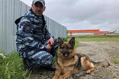 СМИ: Мать пропавших в лесу детей увезли в Следственный комитет