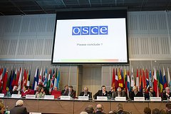 В Госдуме высказались об участии РФ в сессии ПА ОБСЕ