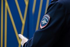 В Крыму мигранты массой избили гулявшего по парку россиянина
