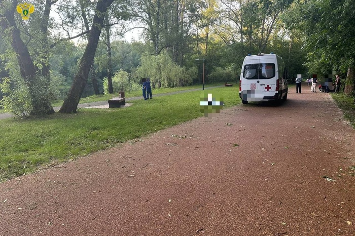 В столичном парке мужчину уничтожили на очах у его внучек