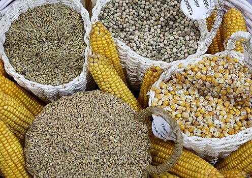 Замминистра сельского хозяйства оценил, насколько РФ обеспечена продуктами