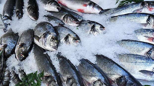 Биолог объяснила, опасны ли морепродукты из зоны разлива мазута на Кубани