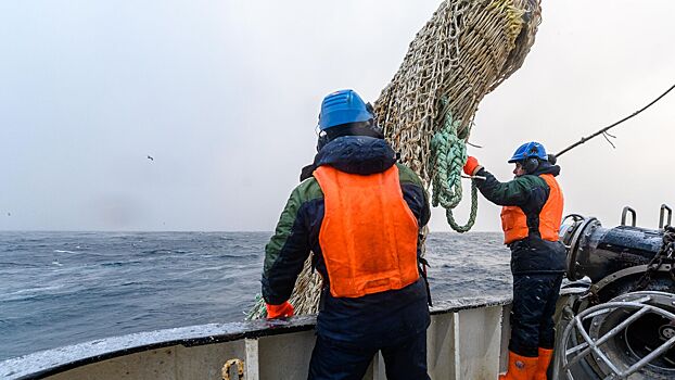 Европейская страна признала зависимость от российской продукции