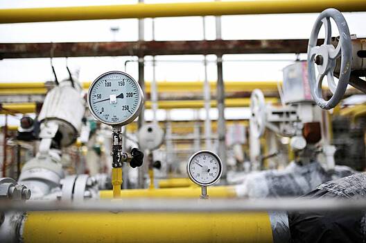 Одна из стран Евросоюза захотела ограничить импорт российского газа