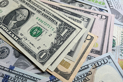 В Минэкономразвития РФ прокомментировали проблему со старыми долларами