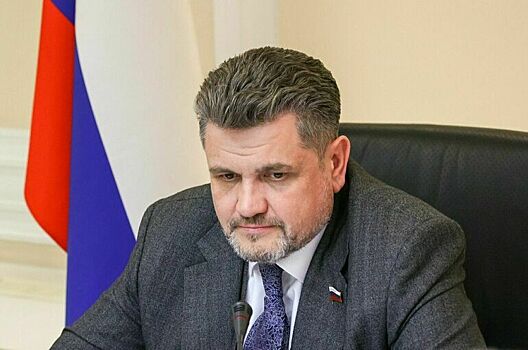 Сенатор рассказал, как решить проблемы с редкоземельными металлами