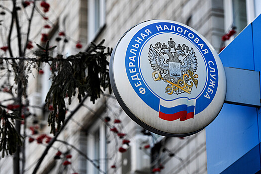 ФНС отметила рост поступления налогов в бюджет в 2024 году