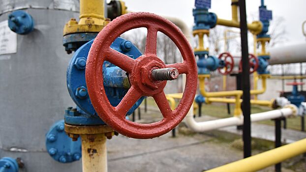 Назван срок начала поставок российского газа в Иран