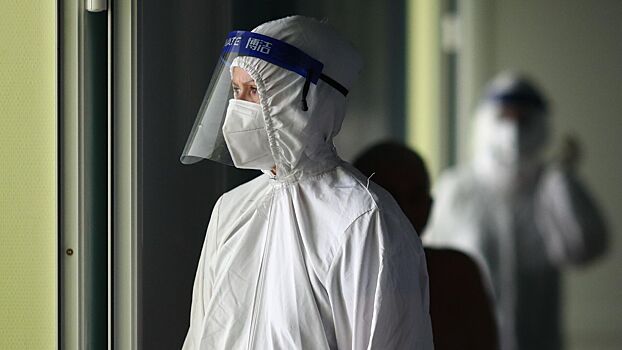 Grozit li rossii lihoradka chikungunja 11091b7.jpg