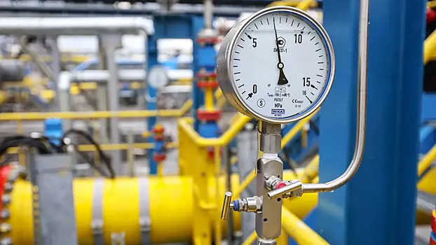 Две страны ЕС выступили против запрета на импорт газа РФ
