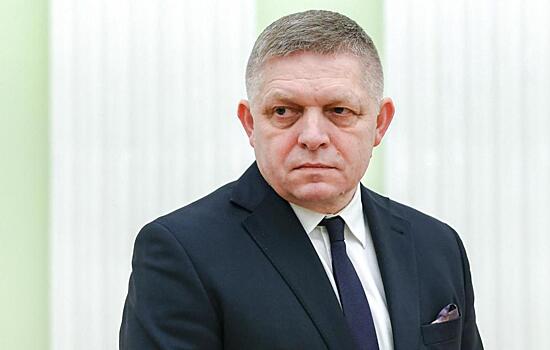 Фицо призвал сохранять поставки сырья из России для конкурентоспособности ЕС