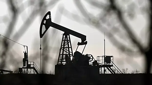 Индийские НПЗ приостановили закупки российской нефти