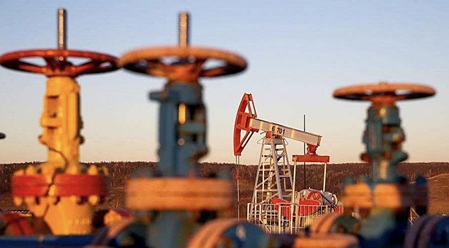 Япония впервые с 2023 года закупила у России нефть