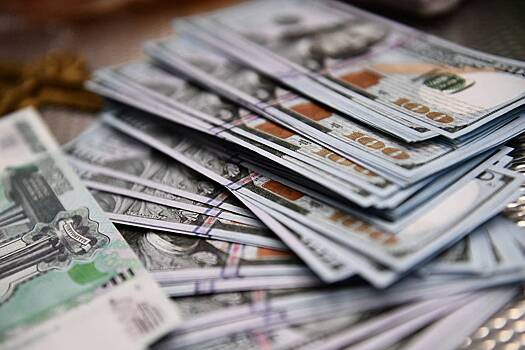Риск подорожания доллара до 100 рублей оценили