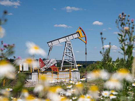 Влияние угроз Трампа на стоимость нефти оценили