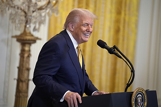 Telegraph: Трамп предложит РФ добычу минералов на Аляске