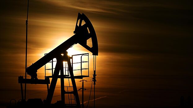 В Индии ответили на сообщения о прекращении закупок нефти у России